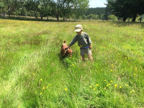 Height Of Dunedin Serviced Farm Stay