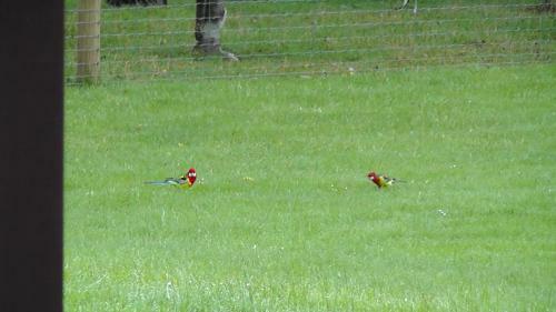 Height Of Dunedin Serviced Farm Stay