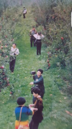 Waitomo Orchard Estate B&B