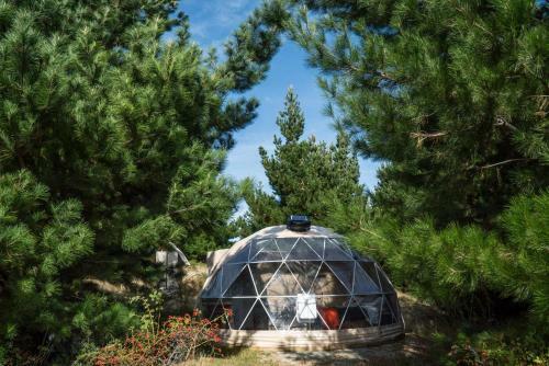 Explore Life Luxury Camping