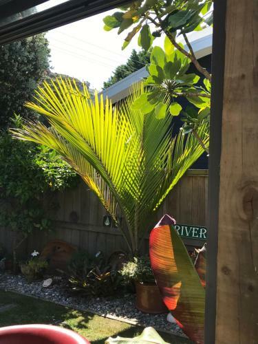 Bed & Breakfast 36 Steps To The Beach