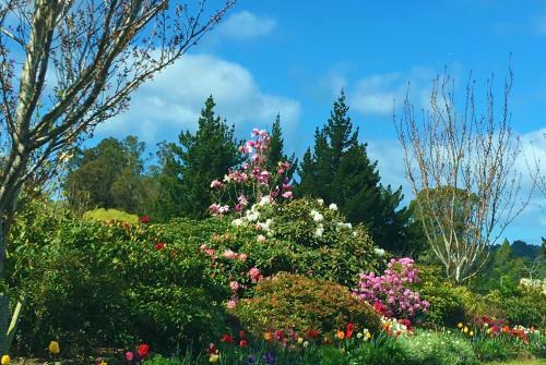 Taieri Retreat