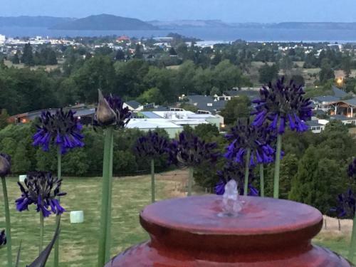 Pohutu Vista B&B