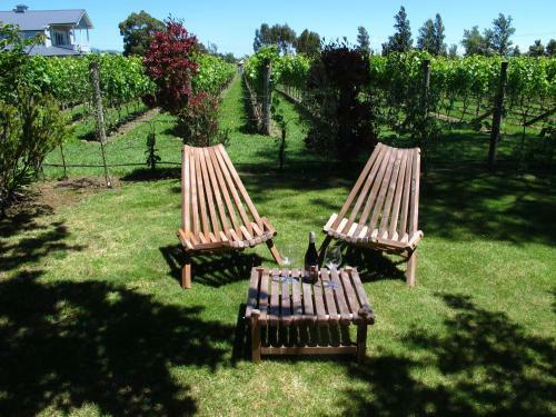 Villa In The Vines
