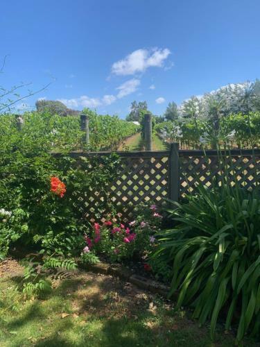 Villa In The Vines