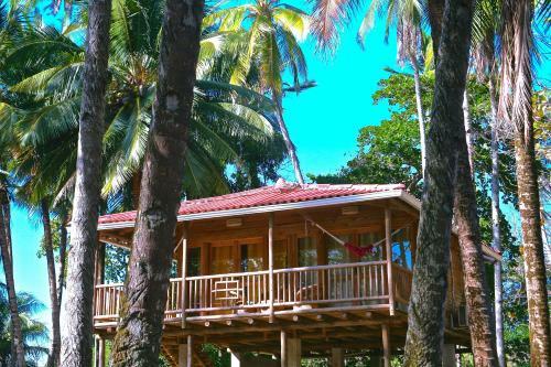 Hotel Oasis Surf Camp