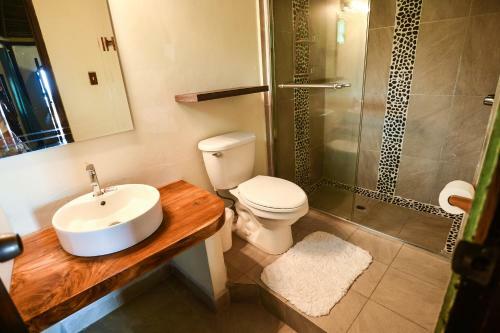 Hotel Oasis Surf Camp