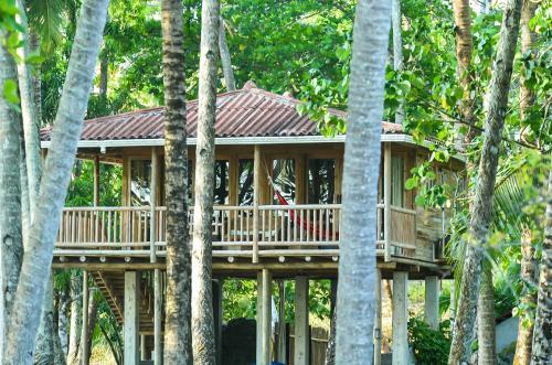 Hotel Oasis Surf Camp