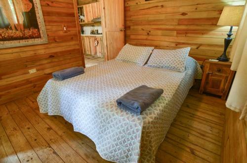 Hotel Oasis Surf Camp