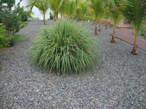 Apartamento Annsrental