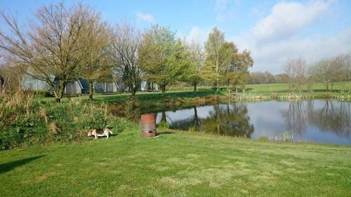B&B Het Farm-house Natuurpark