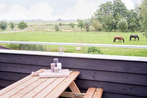 Apartamento Ruyge Weyde Logies