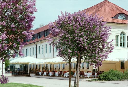 Schloss Hotel Dresden-pillnitz