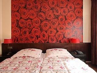 Hotel Arosa