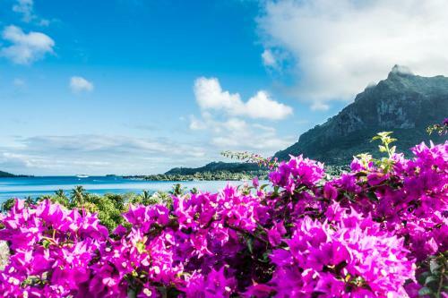 Apartamento Villa Rea Hanaa
