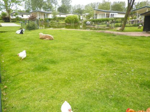 Hotel Holiday Home Type A.19