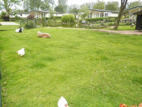 Hotel Holiday Home Type E.13
