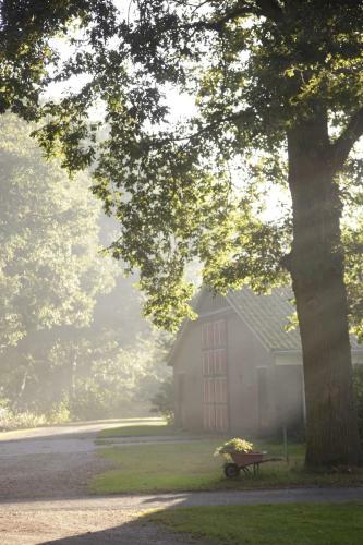Hostal Spijkvoorde