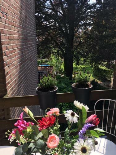 Bed & Breakfast De Kardinaal