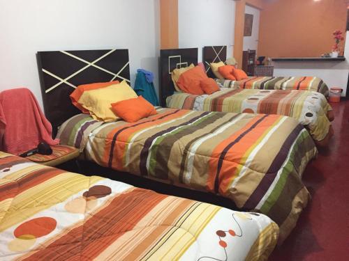 Hostal Cusco Magico 3 - Casa Particular