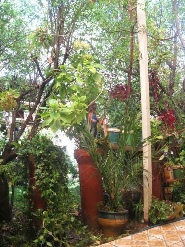 Bed & Breakfast The Secret Garden Home Cusco