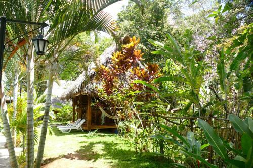 Hotel Hospedaje La Sangapilla