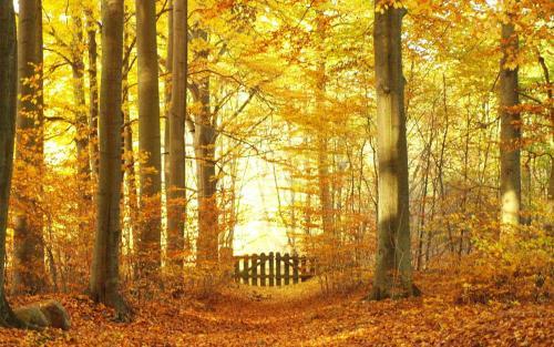 Hotel Mundi Park ?ag�w