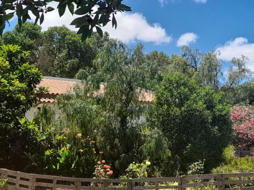 Nature Houses