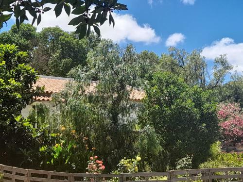 Nature Houses