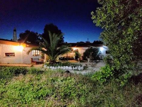 Nature Houses
