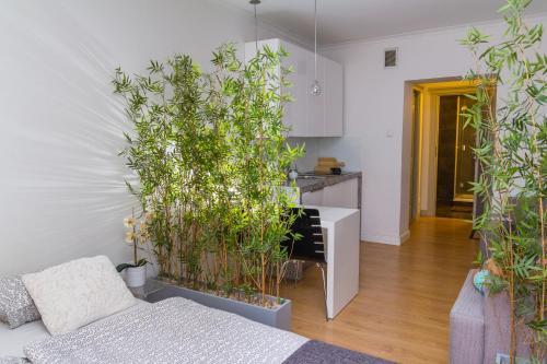 Modern Apartments