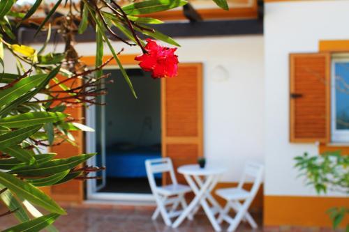 Hostal Aljezur Experiences Surf & Lounge House