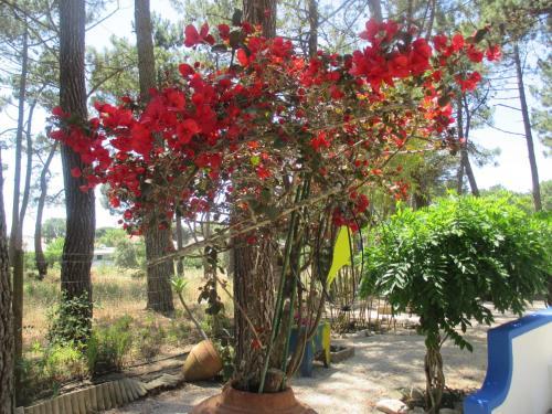 Agroturismo Casa Do P�teo