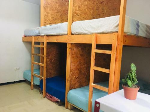 Qispi Kay Hostel
