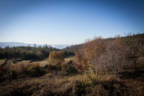 Casas Dos Avos
