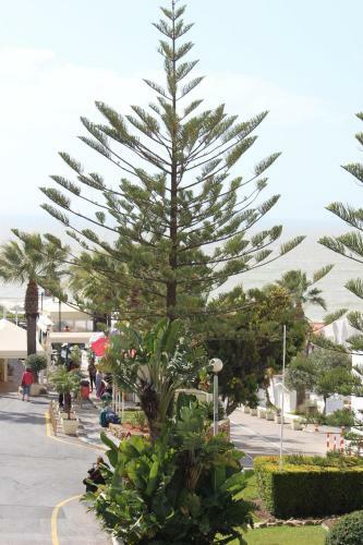 Passport Algarve Apartments