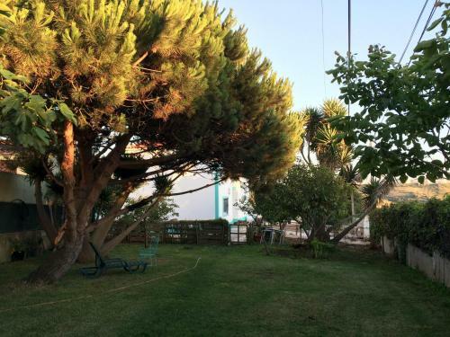 Albergue Be My Guest Ericeira