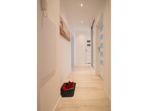 Apartament ?wi?toja?ska