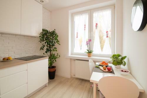 Apartament ?wi?toja?ska