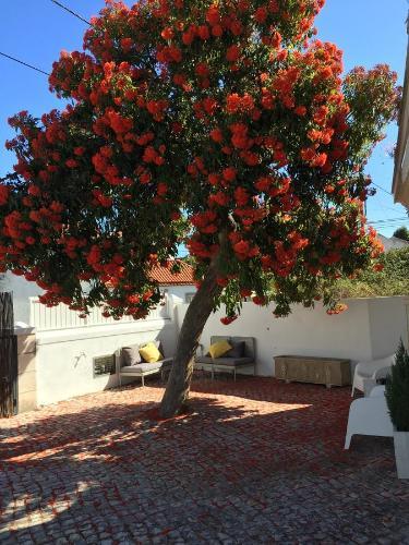 Hostal Cosy Sintra