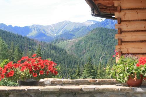Hostal Holiday Home Krzysztoforow