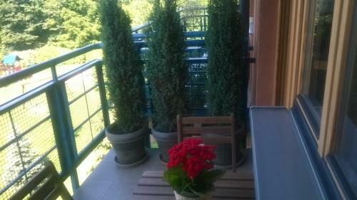 Apartamento Nature