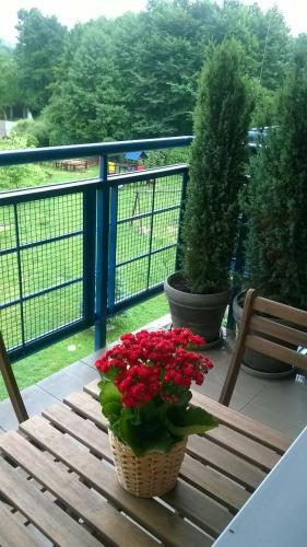 Apartamento Nature