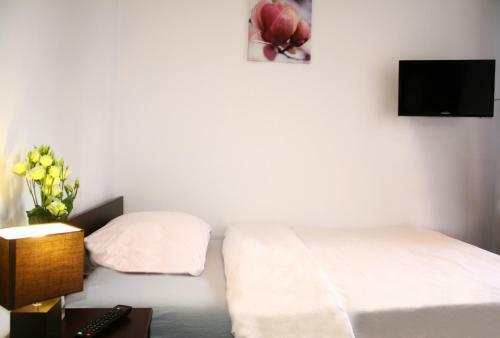 Albergue Beskidpark
