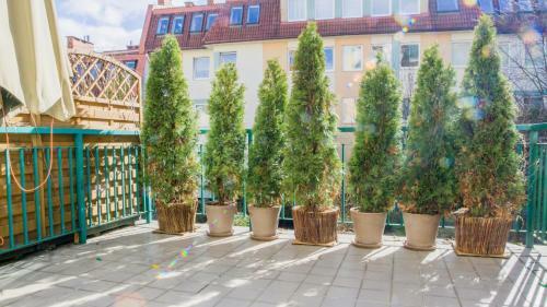 Royal Apartments - Molo