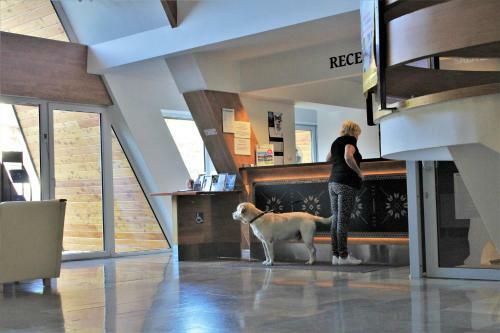 Hostal Pensjonat Bia?y Potok