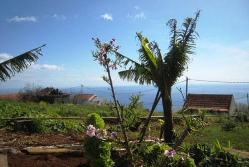 Little Norway In Madeira