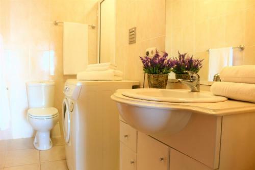 Posada Villa Amore Accommodation