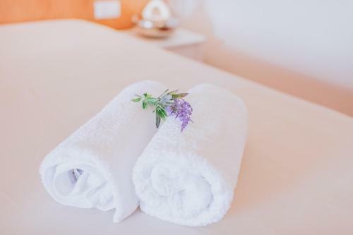 Posada Villa Amore Accommodation