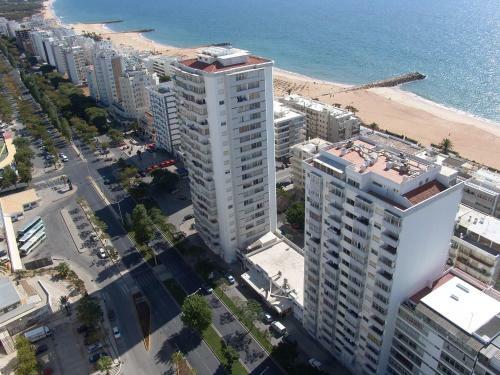 Apartamento T1 One Bedroom 2